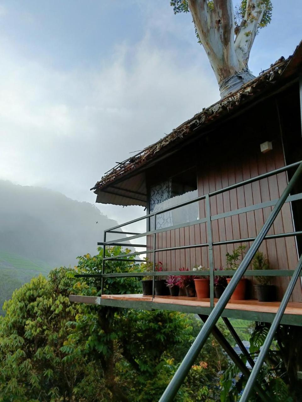 Отель Exotica Holidays Viripara Экстерьер фото
